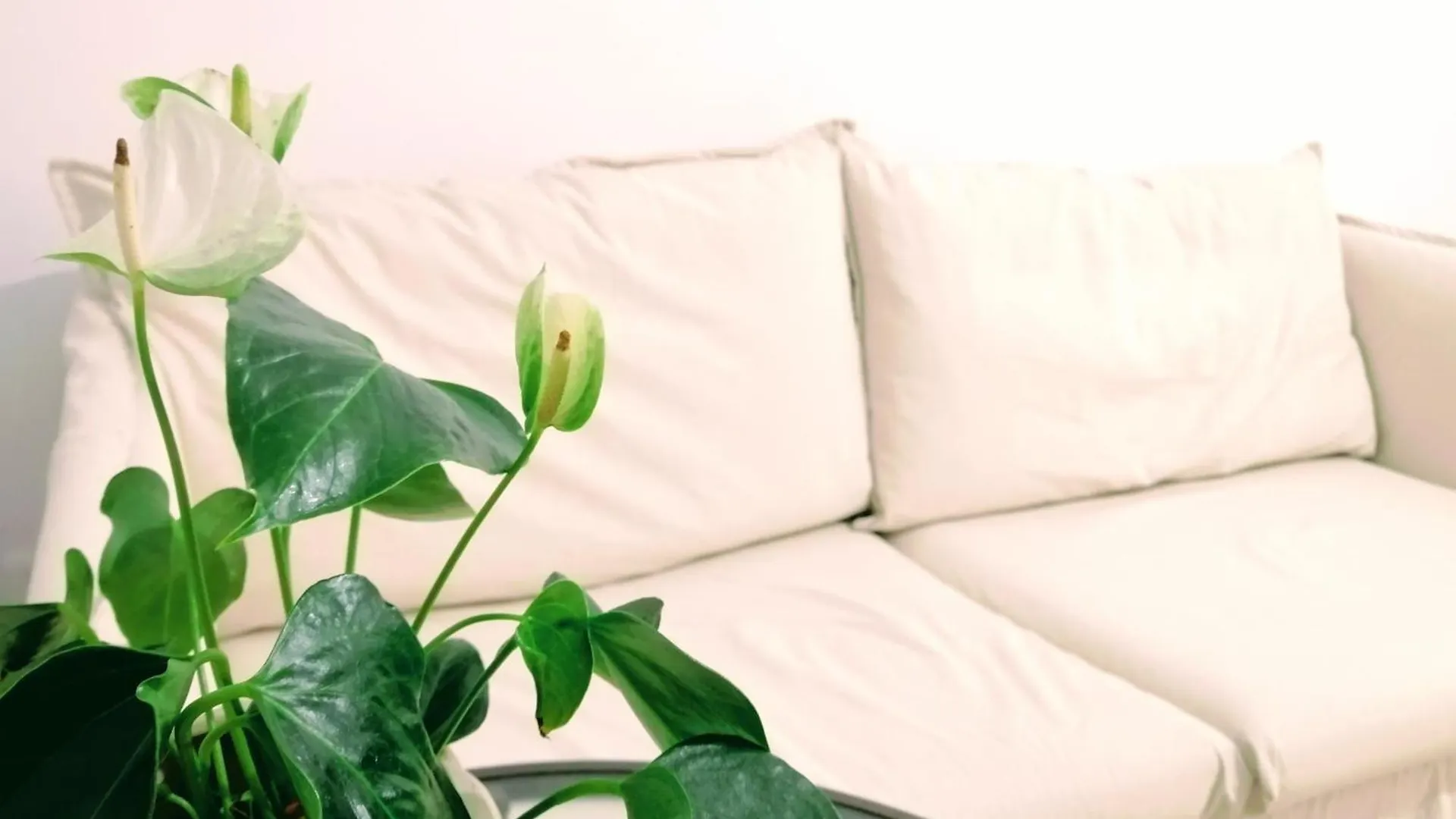 Feel Blue Sky - Politehnica Apartment Bucharest